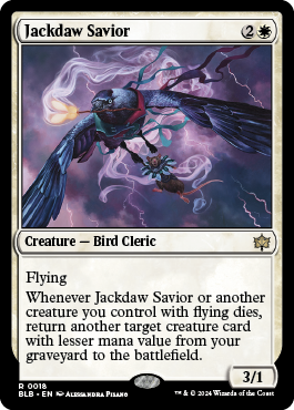 Jackdaw Savior